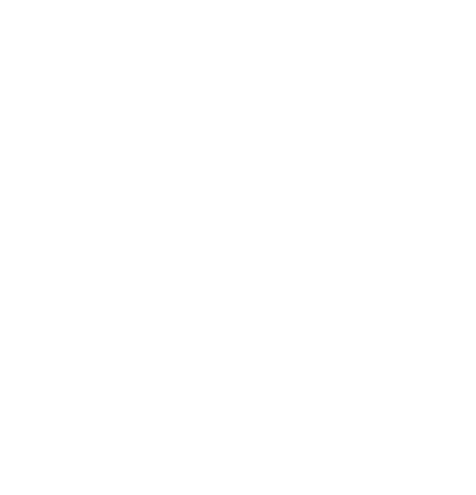 American University Logo