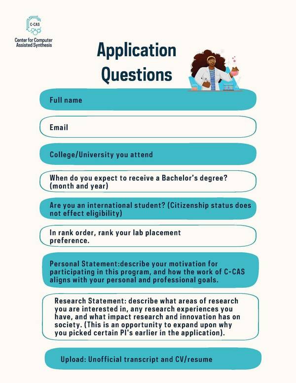 C Cas Surf 2024 Application Questions